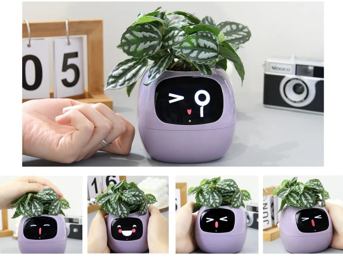 Plantador inteligente Tuya Ivy, diversão sem fim com mais de 49 expressões ricas, 7 sensores inteligentes, chips AI fazem levantando plantas fáceis e divertidas
