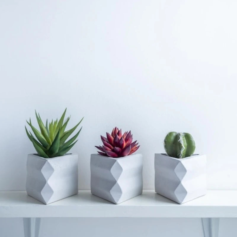 Conjunto de bonsai suculento artificial ecológico-mini plantas de cacto de plástico realista para mesa de casa, escritório e decoração de mesa de casamento