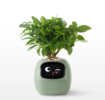 Plantador inteligente Tuya Ivy, diversão sem fim com mais de 49 expressões ricas, 7 sensores inteligentes, chips AI fazem levantando plantas fáceis e divertidas
